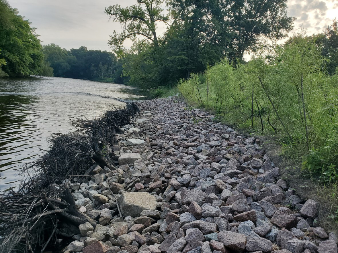 Photo nine months post-construction showing bendway weir directing flow off the previously eroded bank and native vegetation taking hold above the rock.